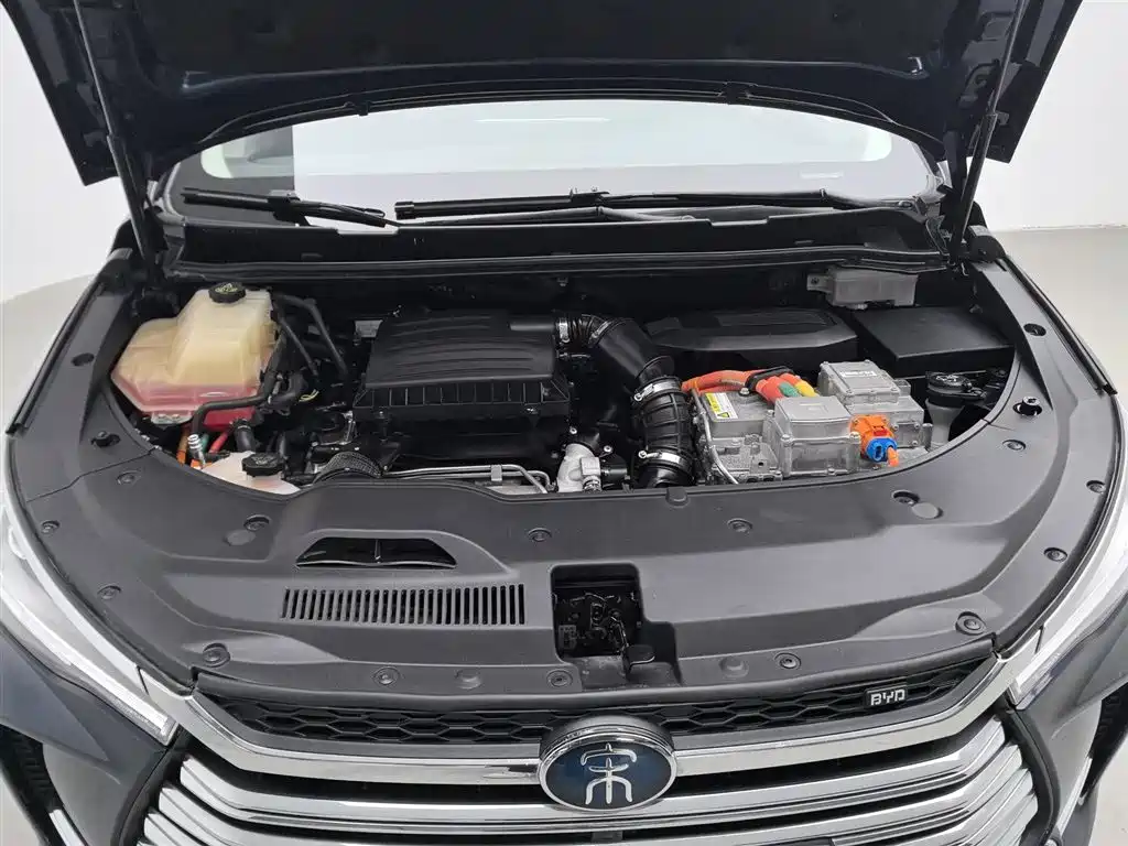 BYD SONGJIANG NEW ENERGY