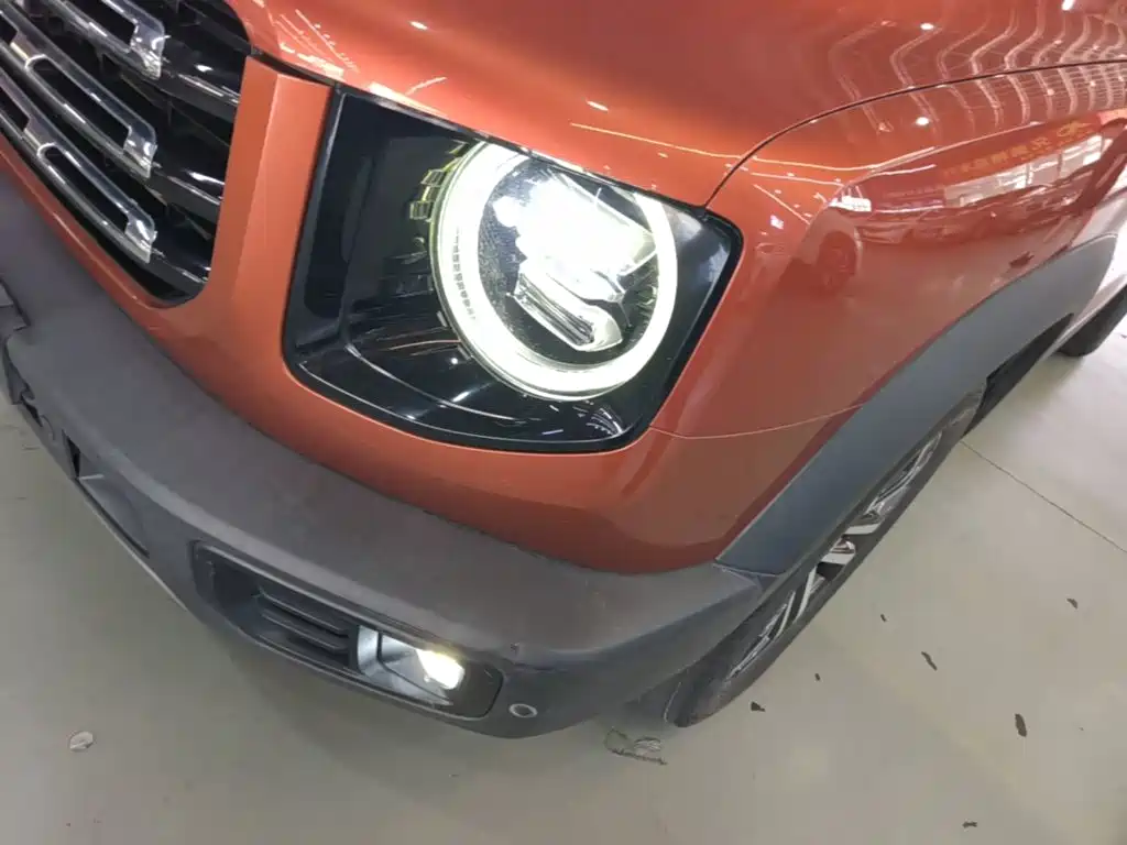 Haval Big Dog — миниатюра 24