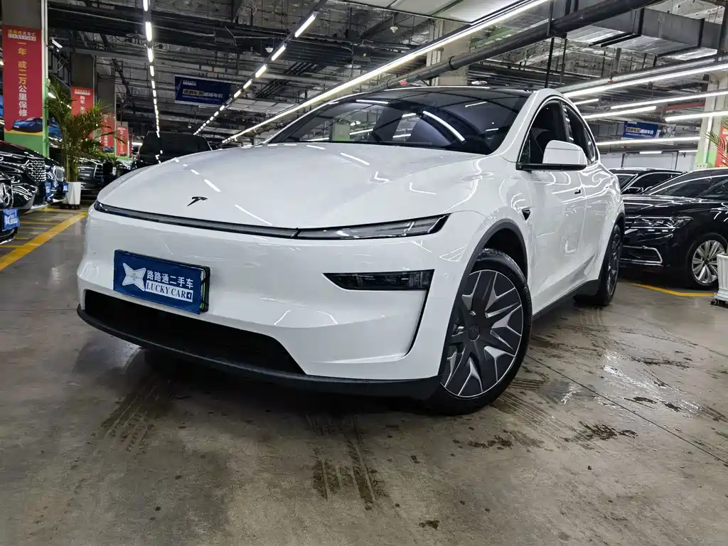 Tesla Model Y L