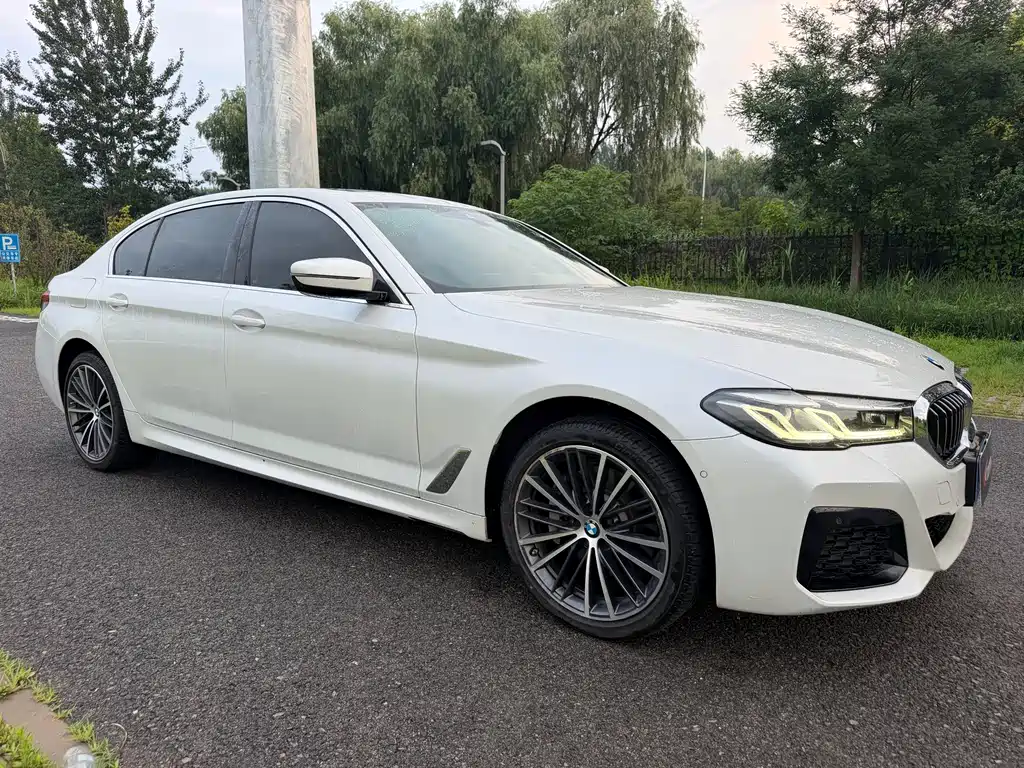 BMW 5 Series 5 2022 530Li Lead Luxury