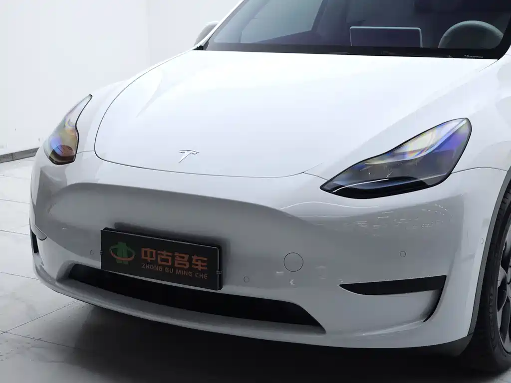 Tesla Model Y — миниатюра 19