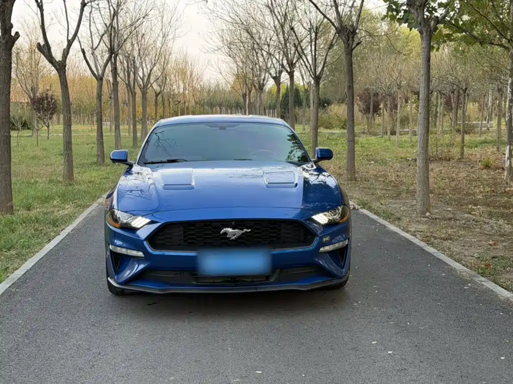 Ford Mustang — миниатюра 3