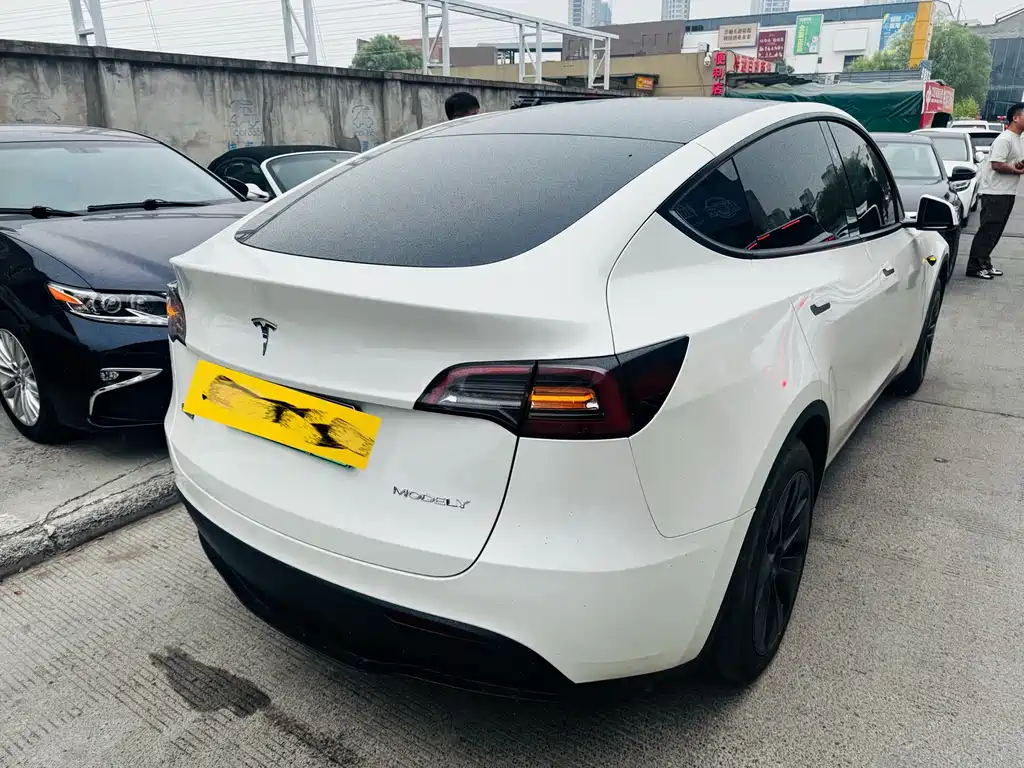 Tesla Model Y — миниатюра 2