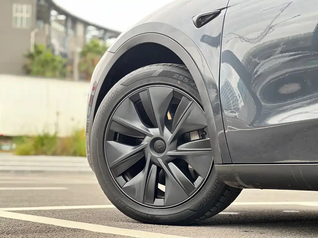 Tesla Model Y — миниатюра 7