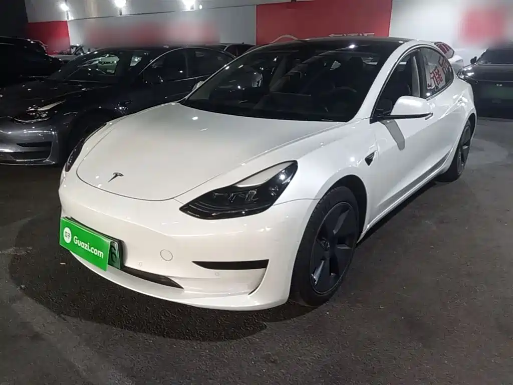 Tesla Model 3 2021