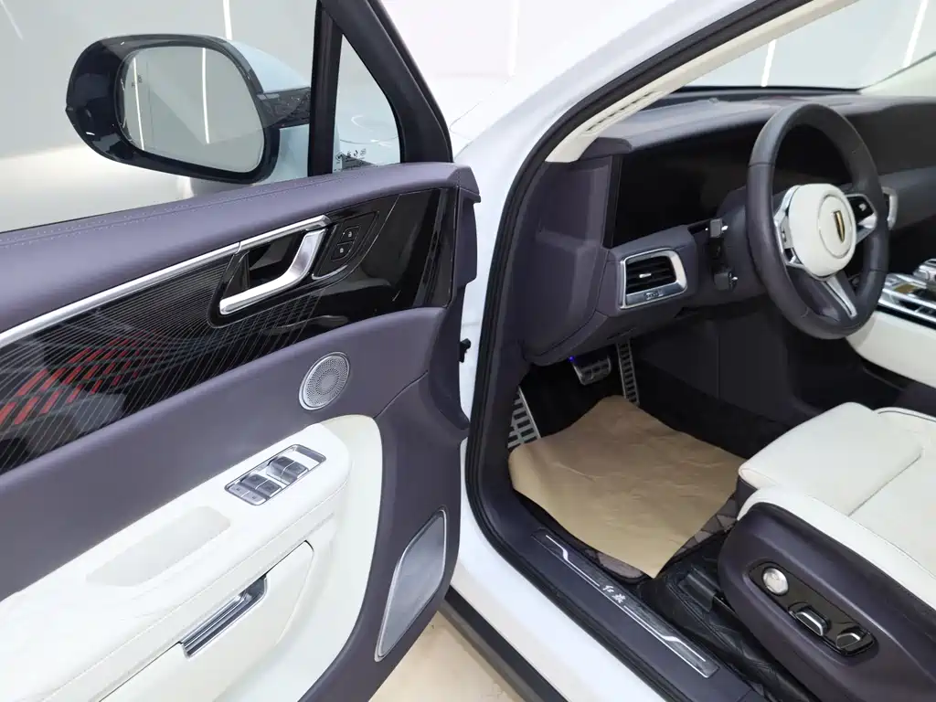 Hongqi Hongqi E-HS9 — миниатюра 29