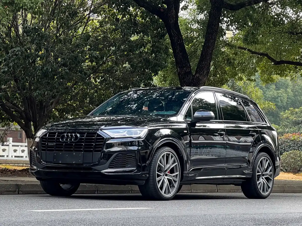 奥迪Q7 2023款 55 TFSI quattro S line冰雪运动版 2023
