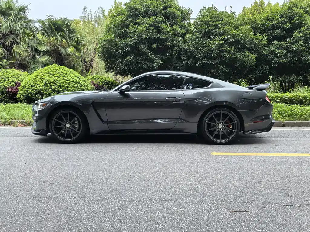 Ford Mustang — миниатюра 4