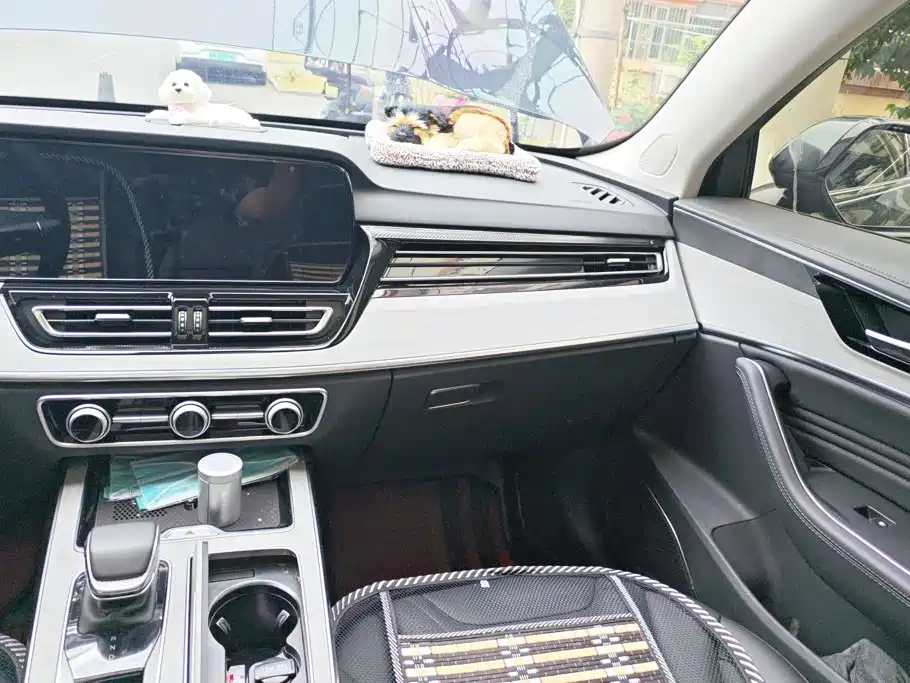 Hongqi Hongqi HS5 — миниатюра 13
