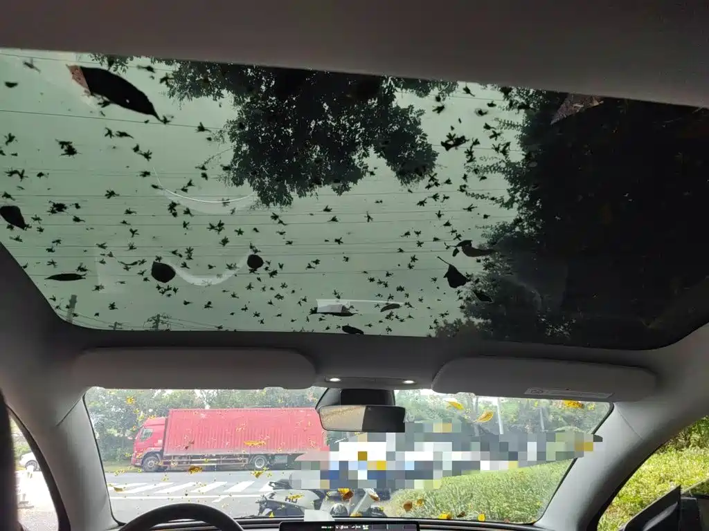 Tesla Model 3 — миниатюра 15