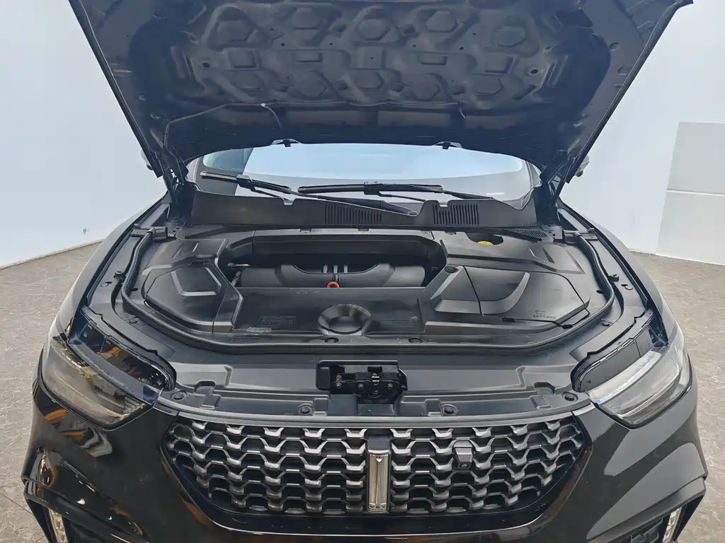 Wey Wey VV5 — миниатюра 13