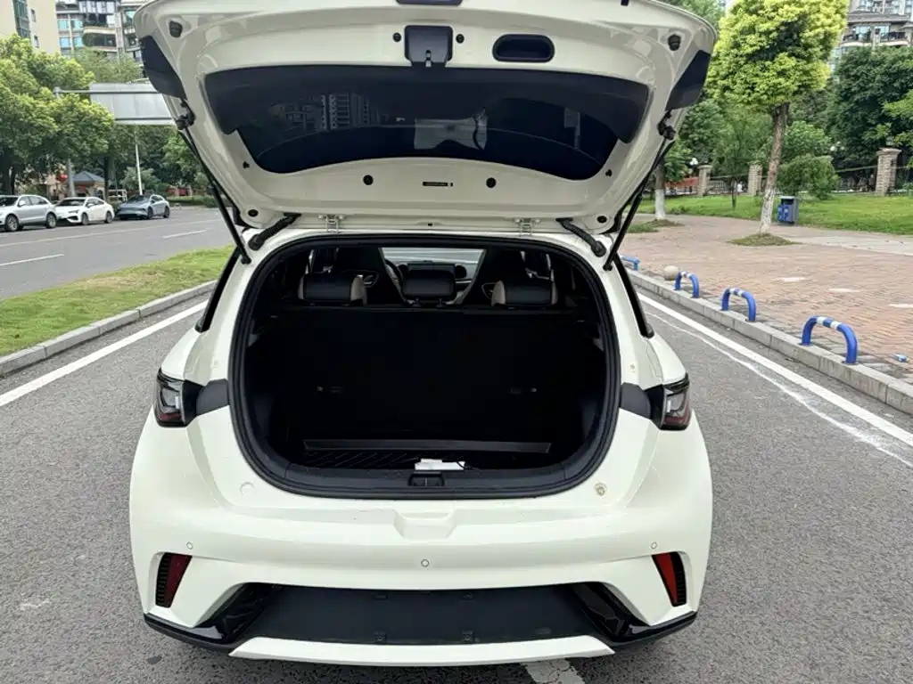 BYD Dolphin — миниатюра 9