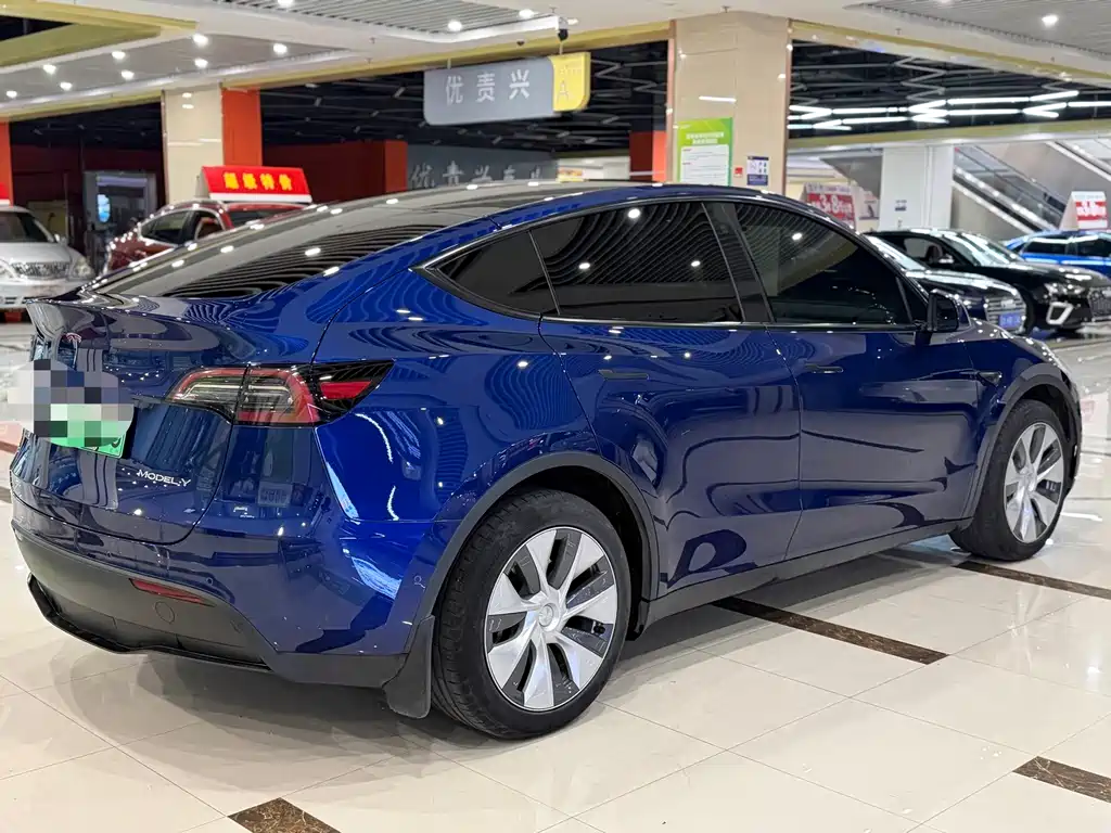 Tesla Model Y — миниатюра 7