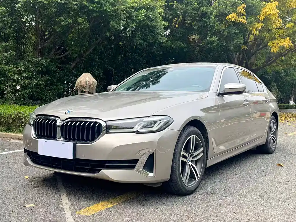 BMW 5 Series 2020
