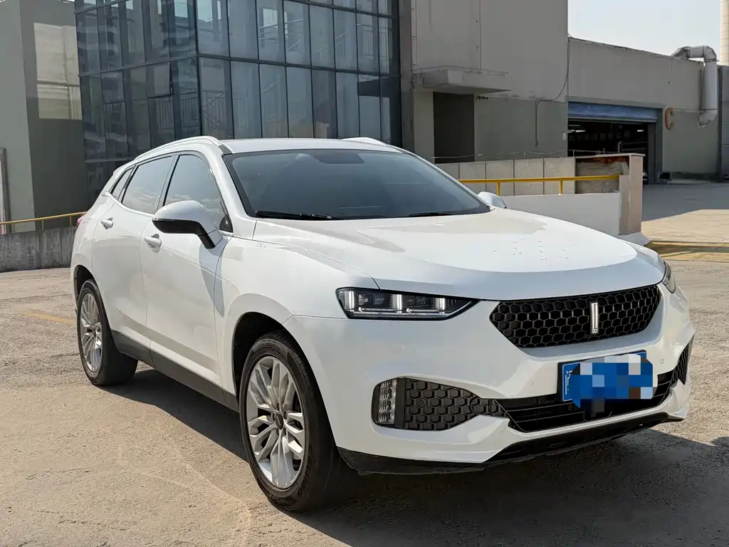 WEI PAI WEI BRAND VV7