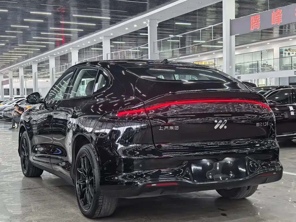 IM IM LS6 — миниатюра 7