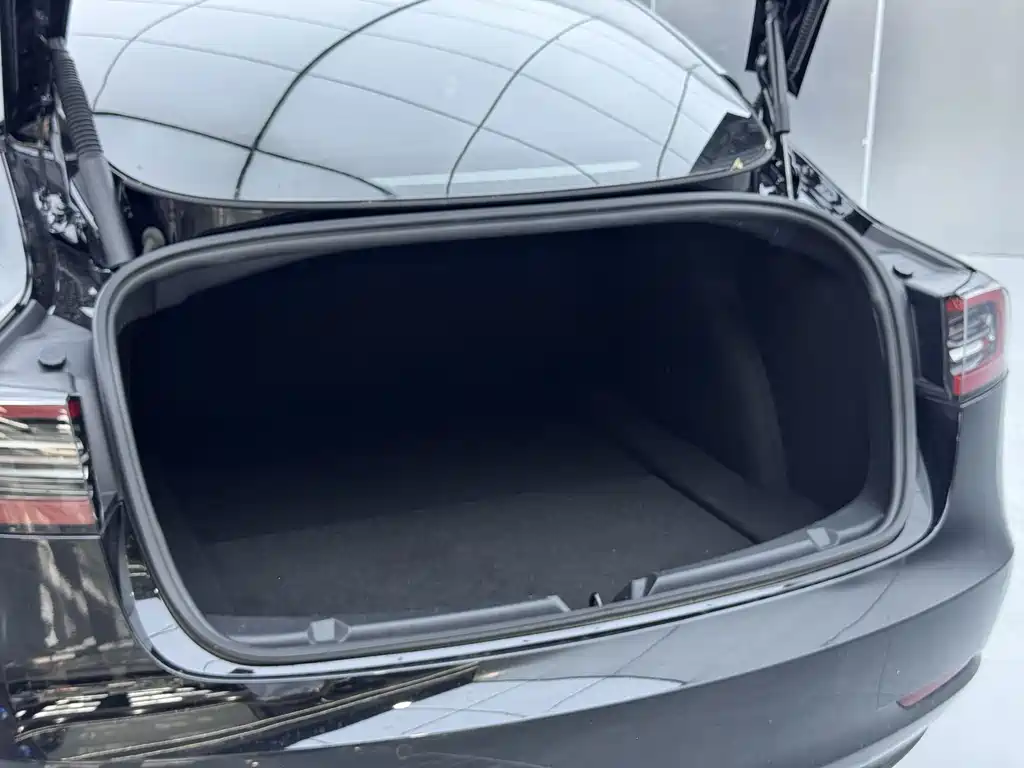Tesla Model 3 — миниатюра 7