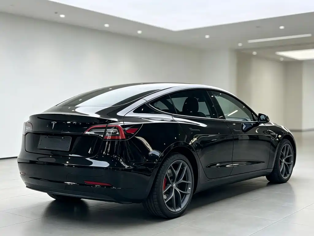 Tesla Model 3 — миниатюра 6