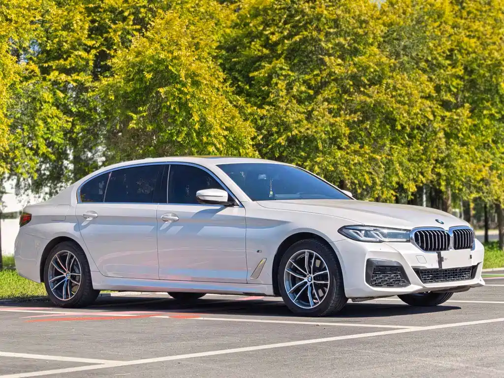 BMW 5 Series — миниатюра 3