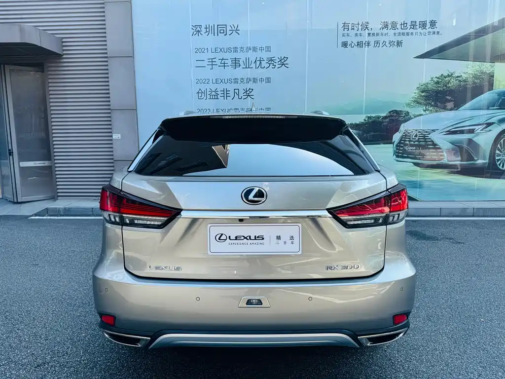 Lexus RX — миниатюра 18