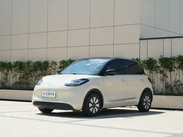 2025 Wuling Motors Binguo