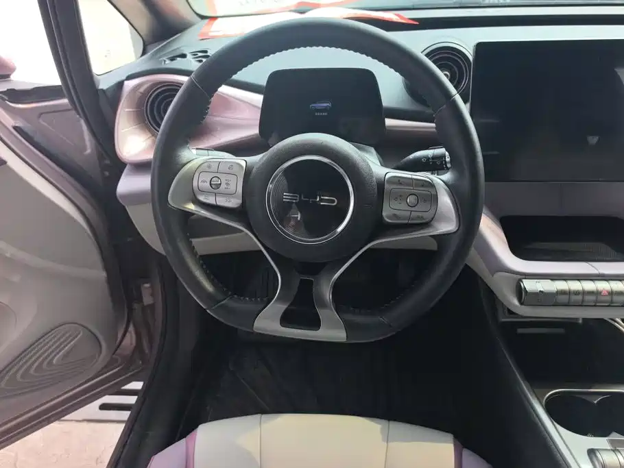 BYD Dolphin — миниатюра 15
