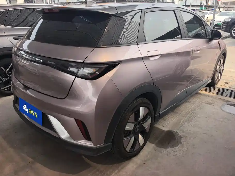 BYD Dolphin — миниатюра 3