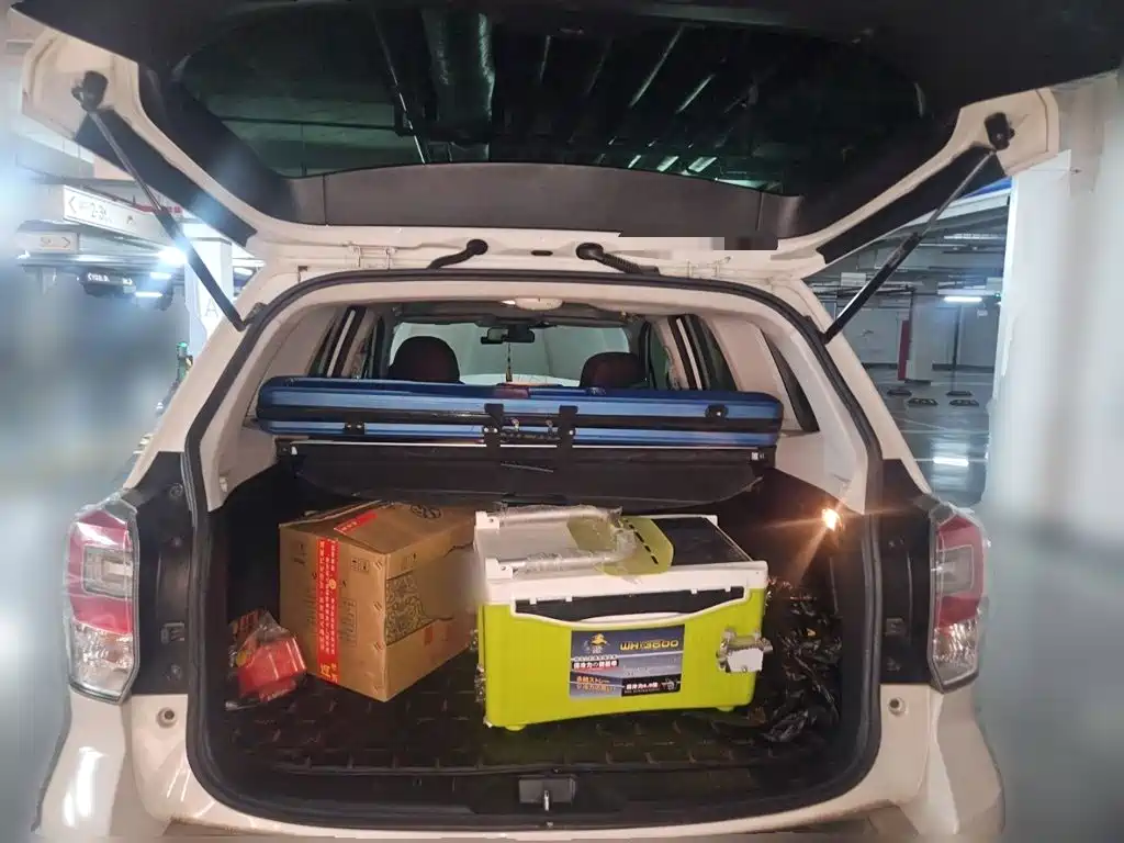 Subaru Forester — миниатюра 20