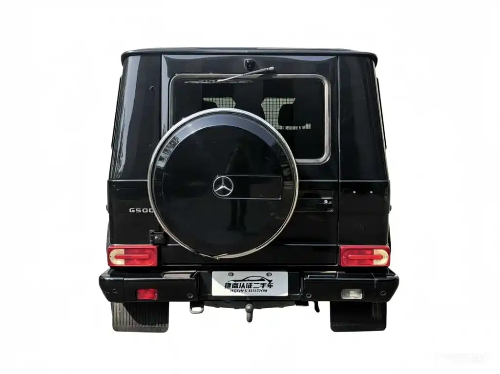 Mercedes-Benz G-Class G 2010 G 500