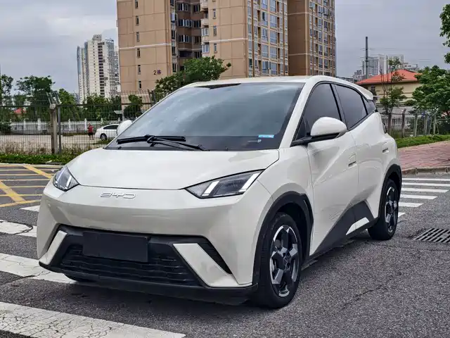 2024 BYD Seagull