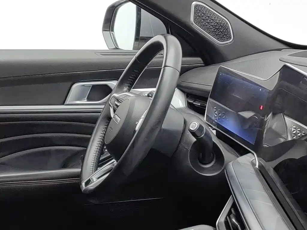 Haval Shenshou — миниатюра 22