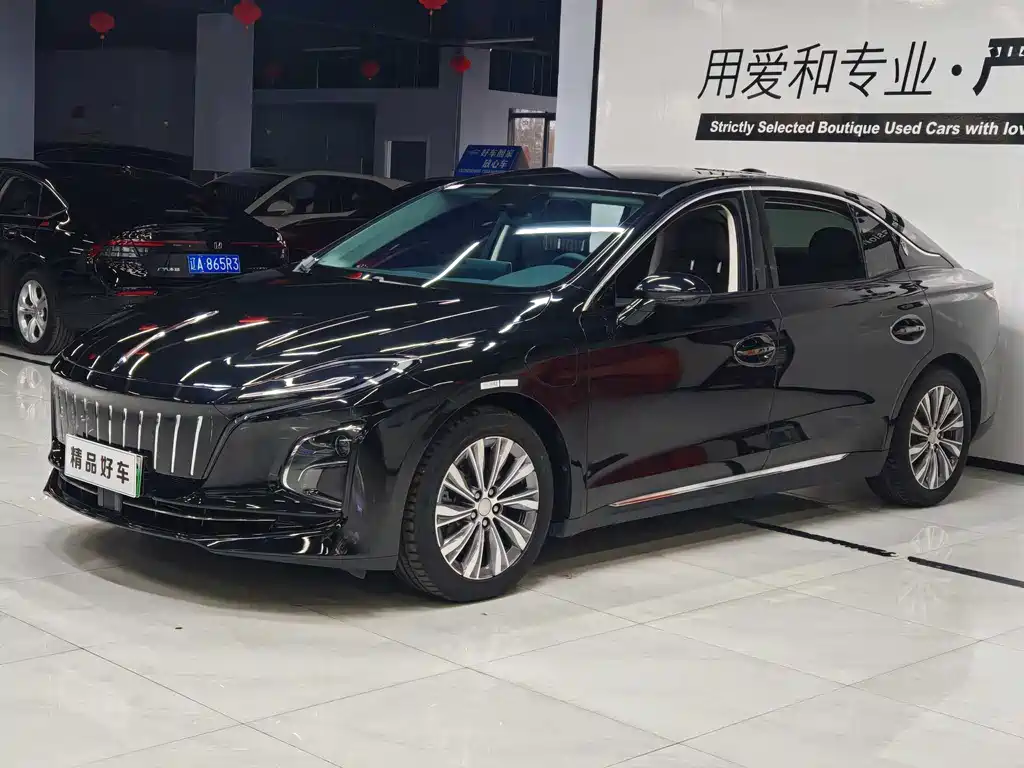 Hongqi HONGQI E QM5