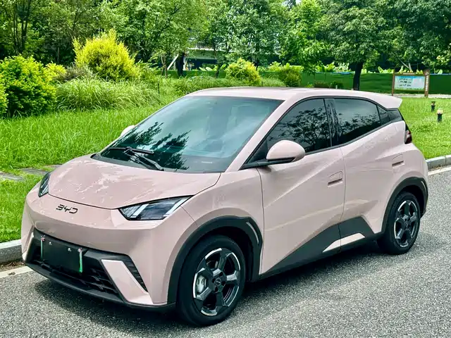 2024 BYD Seagull