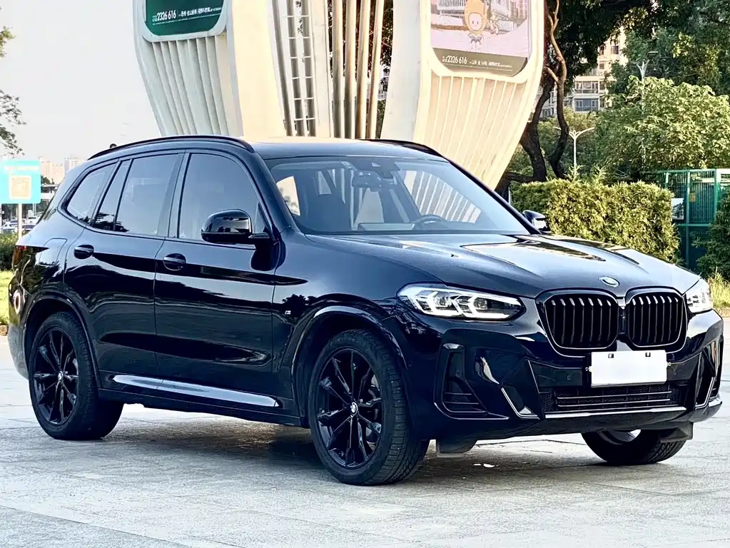 BMW X3 — миниатюра 3