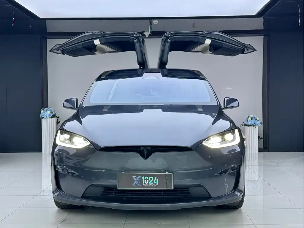 Tesla Model X — миниатюра 2