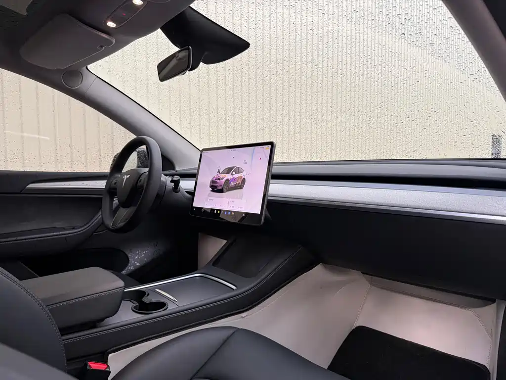 Tesla Model Y — миниатюра 24