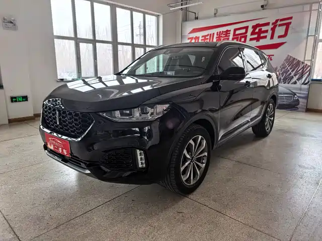 2019 Wey VV6