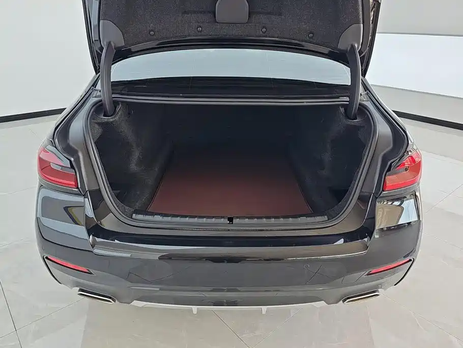 BMW 5 Series — миниатюра 4