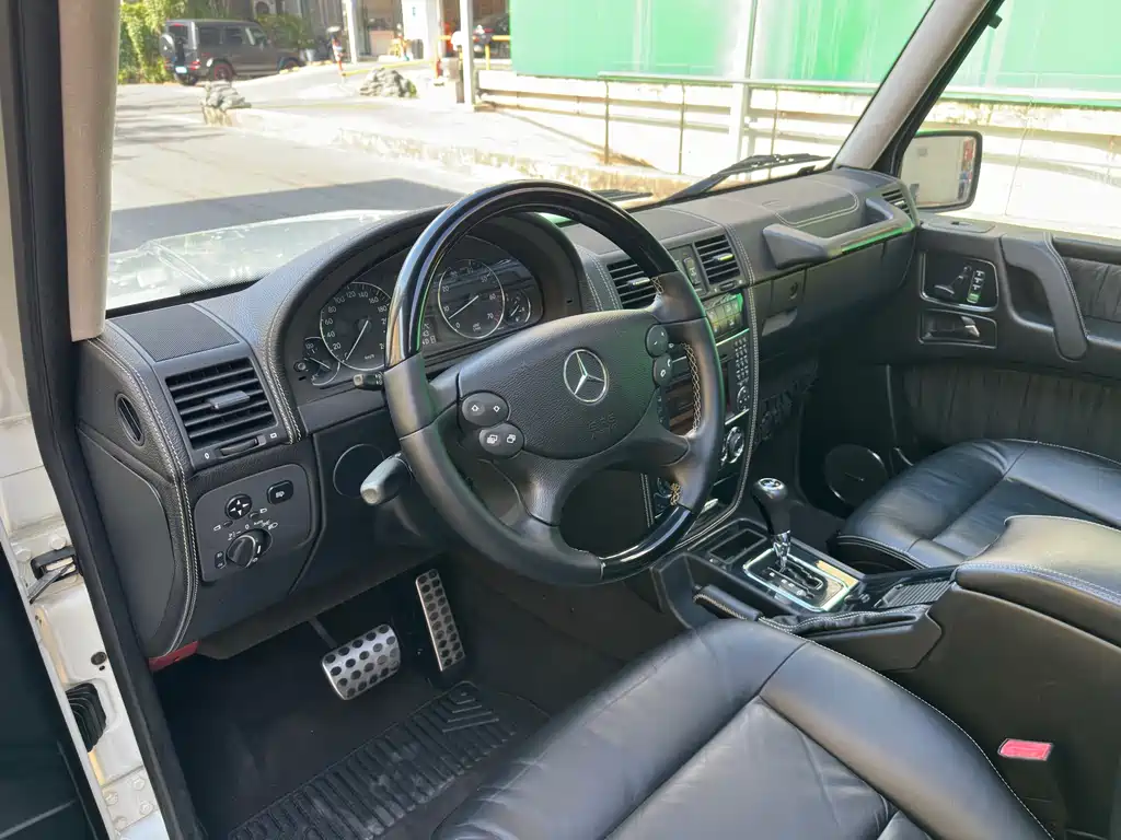 Mercedes-Benz G-Class G 2010 G 500