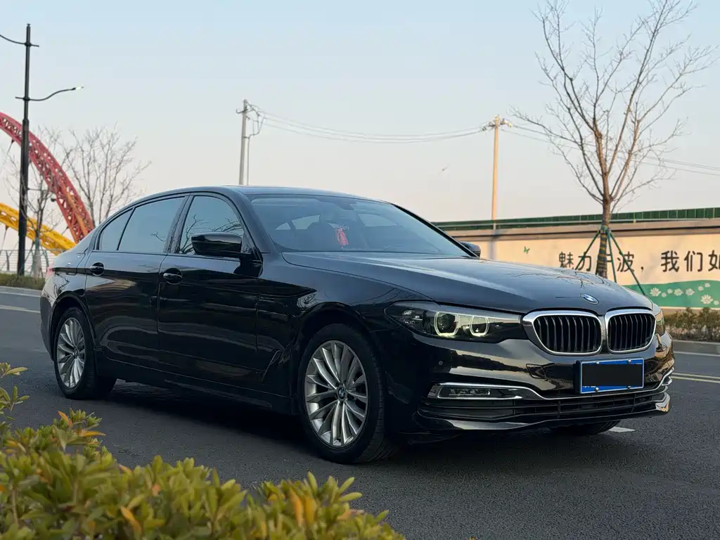 BMW 5 Series 5 2019 525Li Luxury