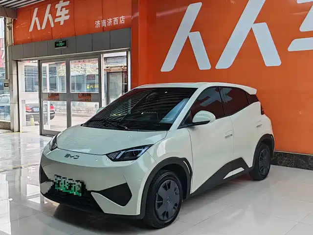 2026 BYD Seagull