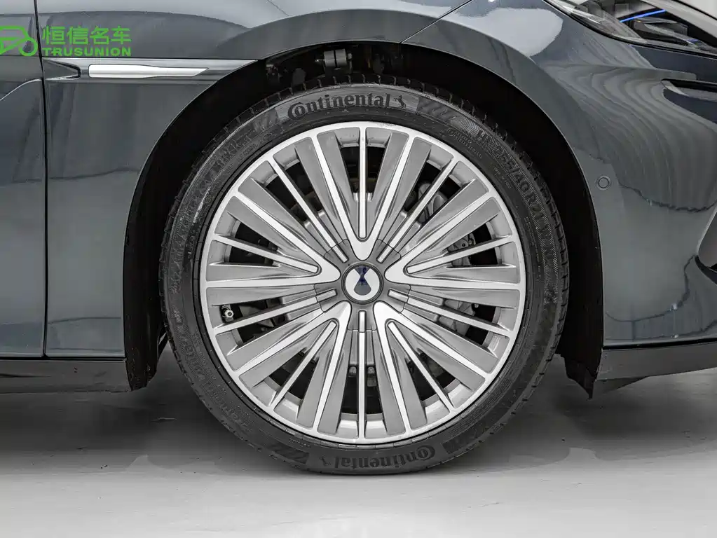 Denza Denza Z9 — миниатюра 11