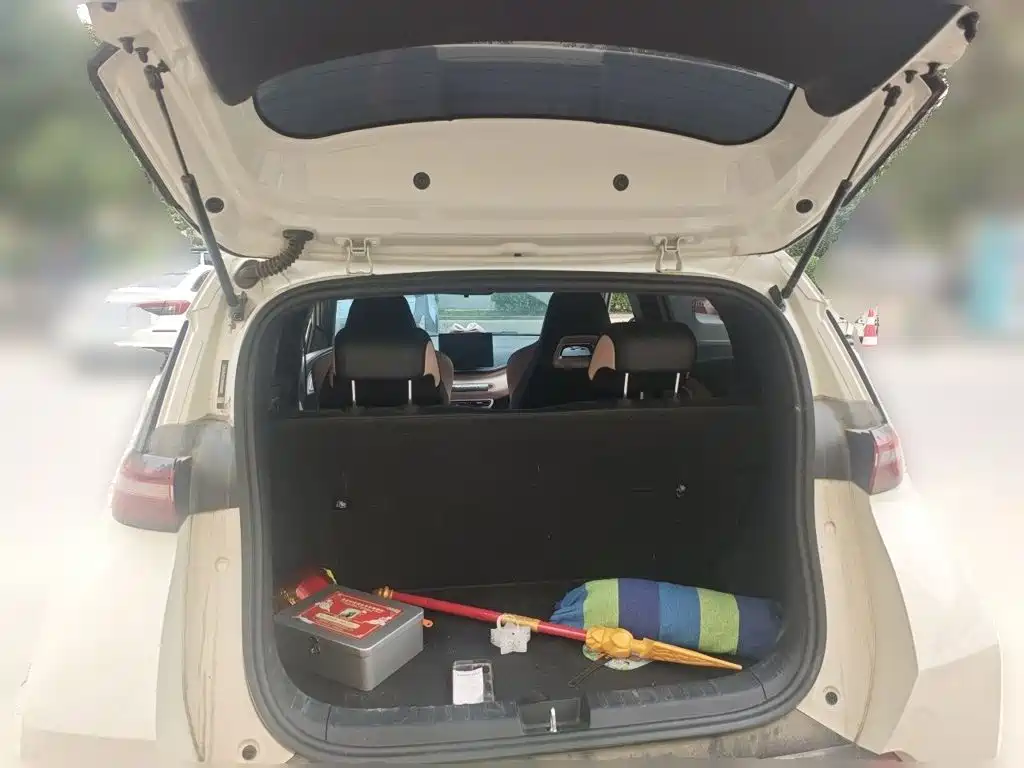 BYD Seagull — миниатюра 15