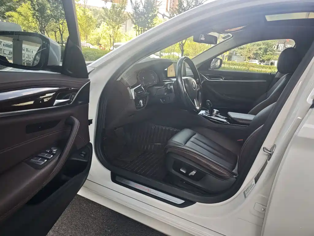BMW 5 Series 5 2020 525Li Luxury