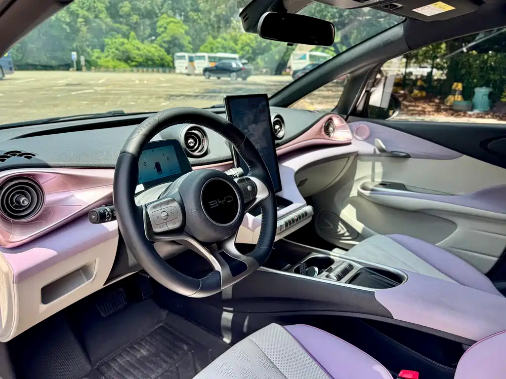BYD Dolphin 2024 420km Fashion