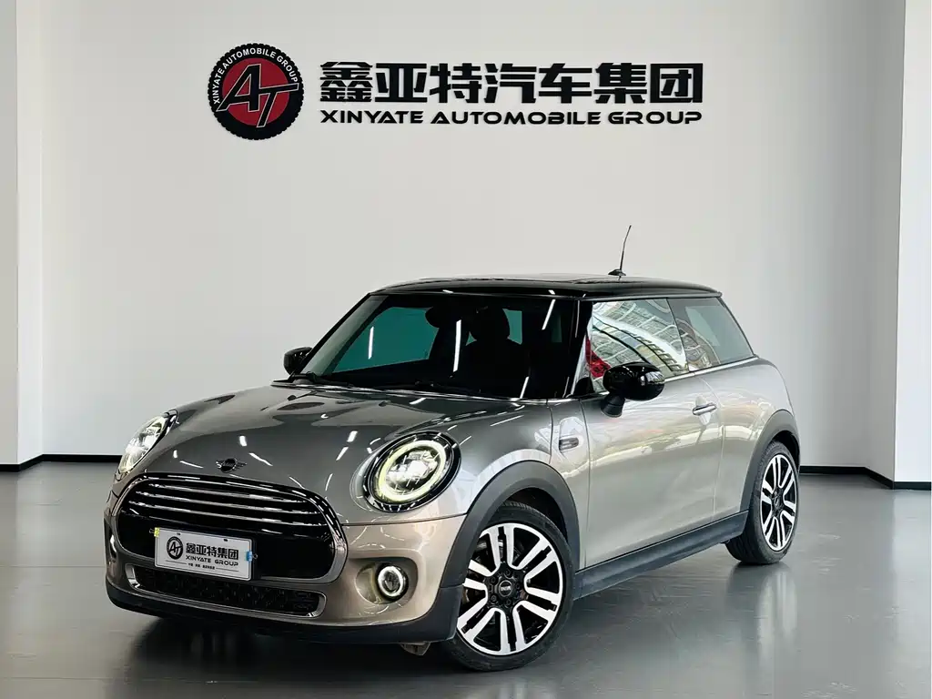 Mini Mini 2020