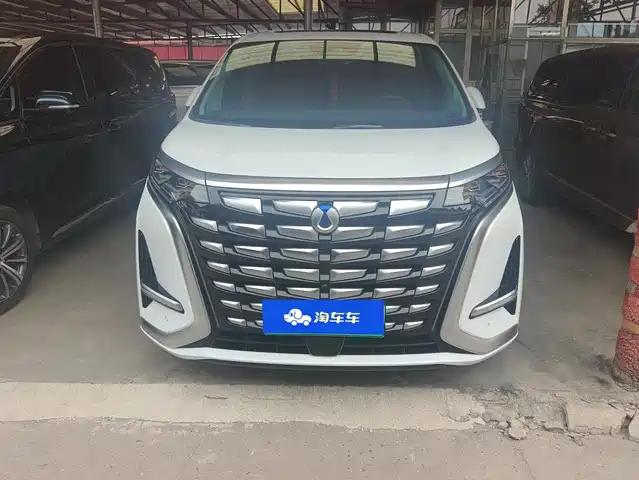 Denza D9