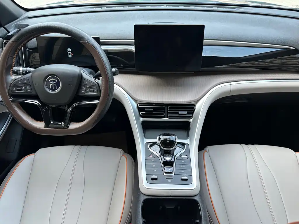 BYD Pro New Energy — миниатюра 5