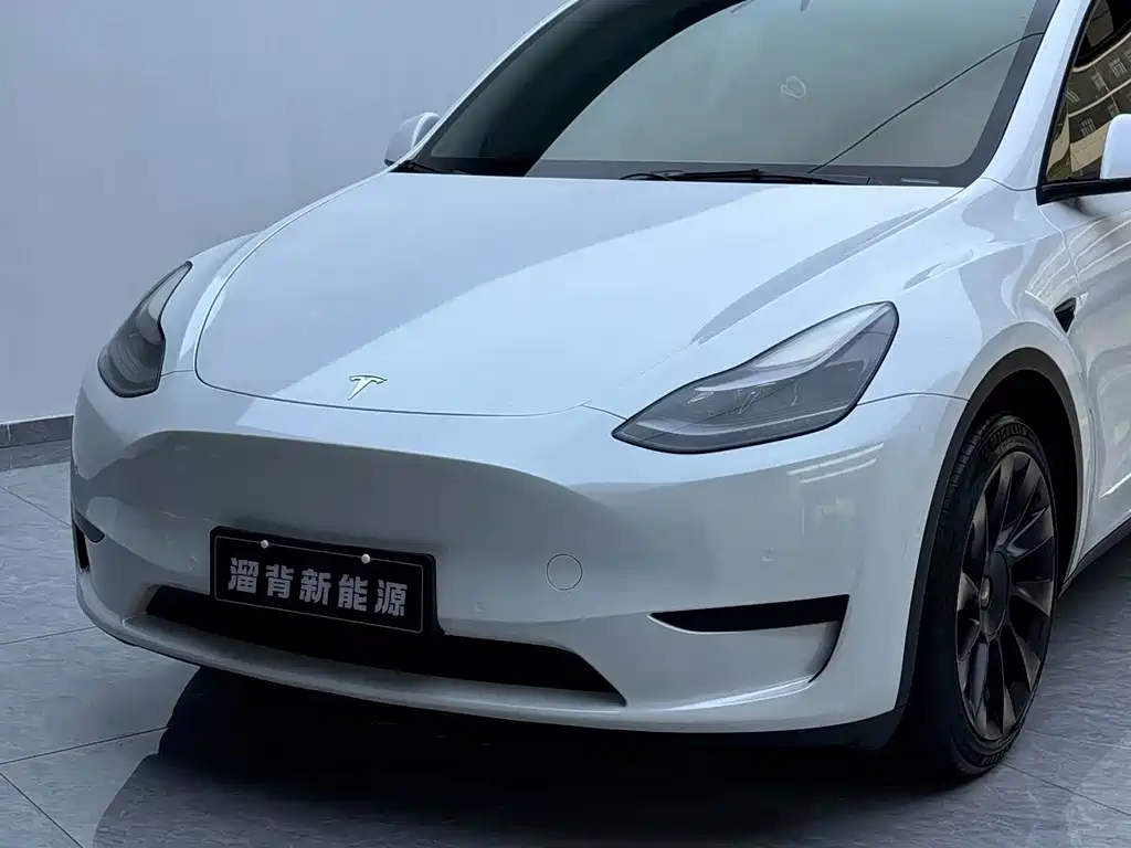 Tesla Model Y — миниатюра 3