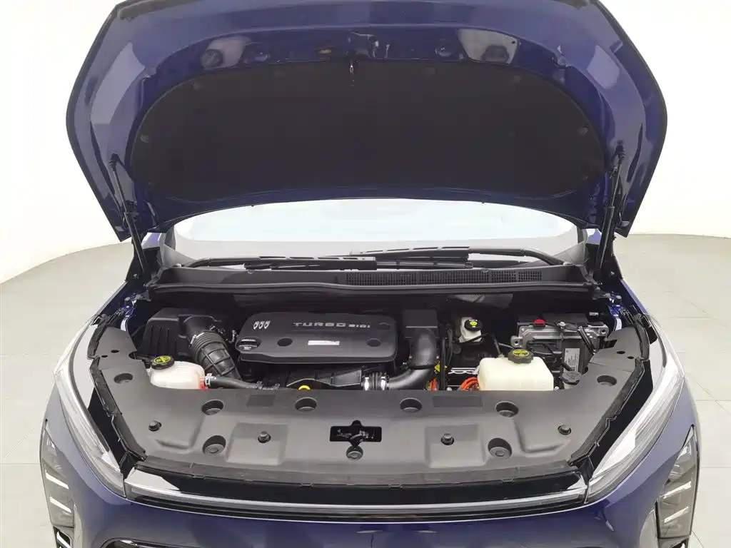 BUICK GL8 NEW ENERGY